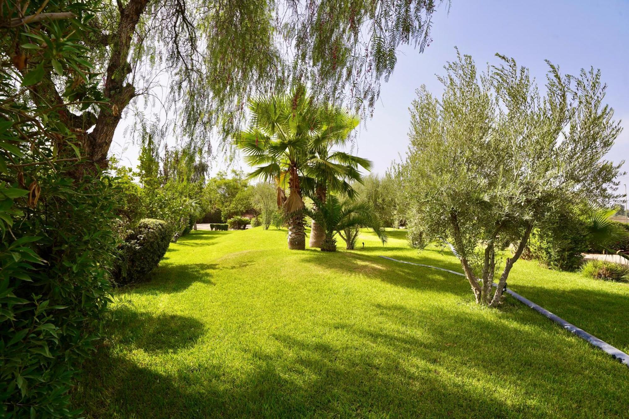 Ourika Camp Suites Hotel & Resort El Harkat Exteriér fotografie